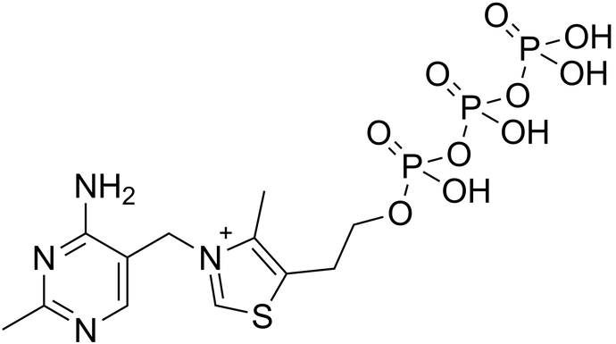 Thiamine, CO2, and restoring energy balance