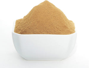 Lion's Mane Extract