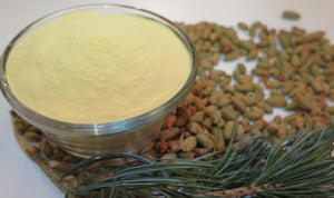 Ultra-potent Pine Pollen Tincture
