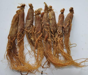 Red Korean Ginseng Extract