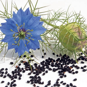Black Seed Oil